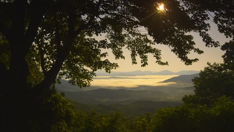 Mountain ranges at distant and bright sunrays passing through the tree leaves Stock Footage 103824230