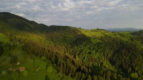 Mountain ranges with houses and fields surrounded by forest in the Carpathians Stock Footage 169755273