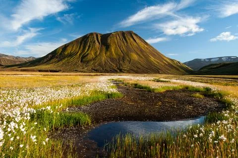 Mountain reflected in river with flowers in foreground Stock Photos
