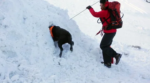 Mountain Rescue Service Stock Footage 46817321