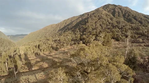 Mountain reveal from behind tree. Stock Footage 49805584