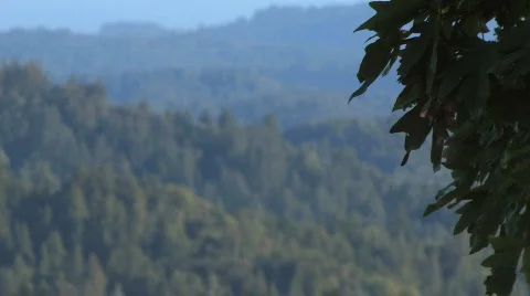 Mountain Reveal Video stock 612365