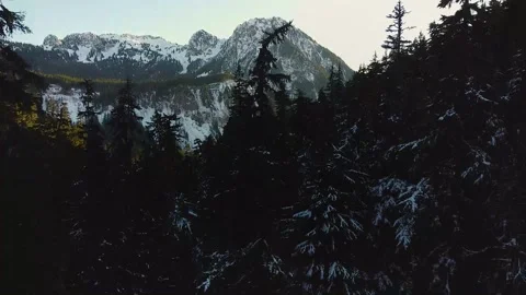 Mountain Reveal From Trees at Comet Falls Near Mt Rainier National Park 2 Vídeo Stock 155908536