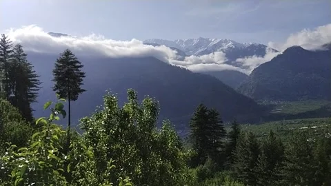 Mountain review and forest Stock Footage 240941465