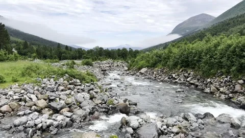 Mountain riber flowing through rocks in a lush for Video stock 338343874