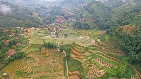 Mountain rice field area Video stock 274414469