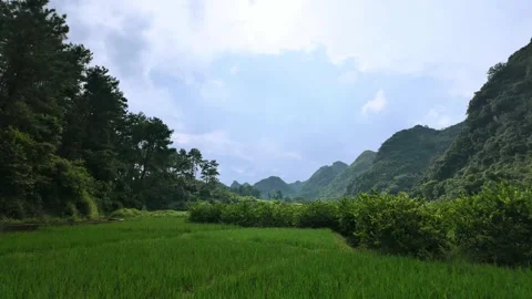 Mountain Rice Terraces Timelapse – HD Nature Footage Stock Footage 319423167