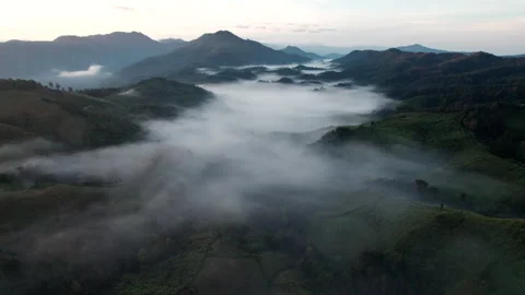 Mountain ridge and clouds in rural jungle bush forest. Video stock 263400748