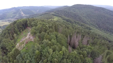 The mountain ridge covered with forest with flag. Stock Footage 66415007