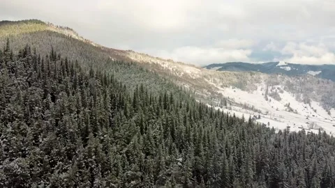 Mountain Ridge Deep Forest Spring With Snow 스톡 동영상 166455892