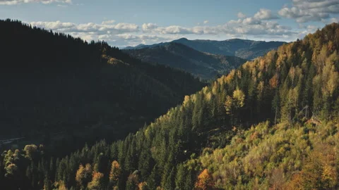 Mountain ridge with pine forest aerial. Autumn nobody nature landscape. Green Stock Footage 148002098