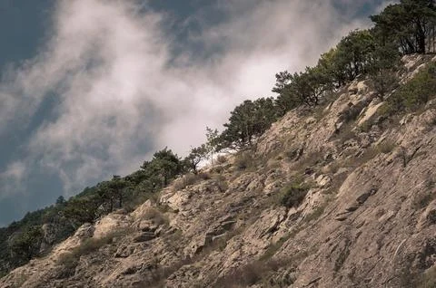 Mountain Ridge with Pine Trees and Dramatic Clouds on Rocky Slope Foto stock