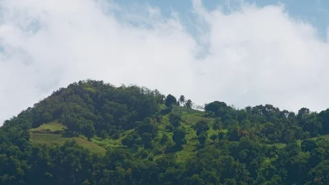 Mountain Ridge at St Vincent, at midday Stock Footage 72687101