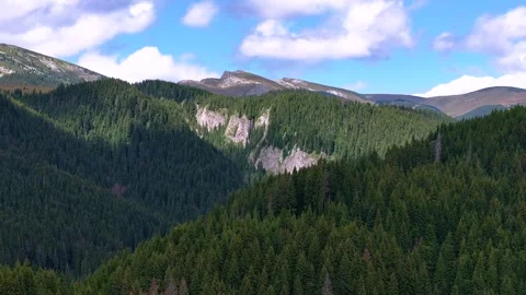 Mountain ridges covered with spruces and green firs. Parallax effect. Stock Footage 248050449