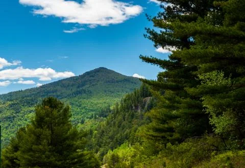 A mountain rises up above a cliff lined with pine trees. 库存照片