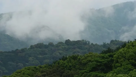 Mountain Rising Mist Video stock 154497011