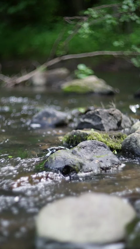 Mountain rive A detailed view of twisted tree roots entangled on a rocky surface Stock Footage 304736209
