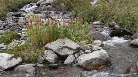 Mountain river 019 Stock Footage 7134046