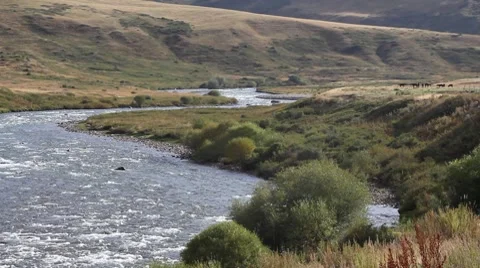 Mountain river 028 Stock Footage 7751410