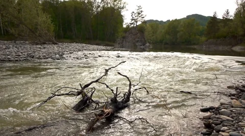 Mountain river 10 Stock Footage 7728955