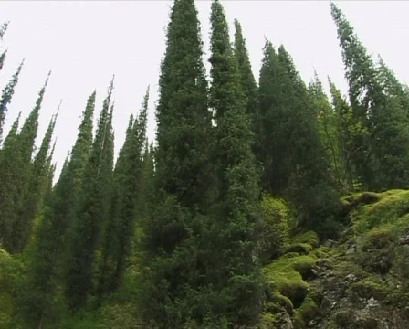 The Mountain river 12 P Video stock 514168