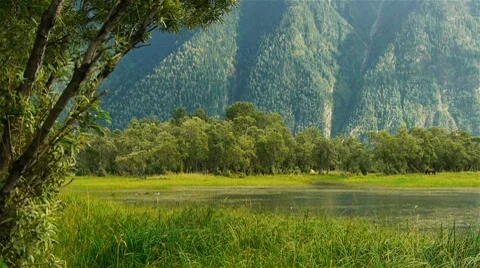 Mountain river 15 Stock Footage 8548630