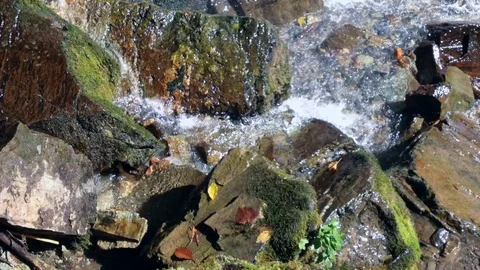 Mountain River 15 Vídeo Stock 91656470