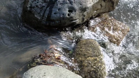 Mountain River 16 Vídeo Stock 91656506