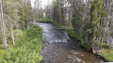 Mountain river 2 Stock Footage 321155851