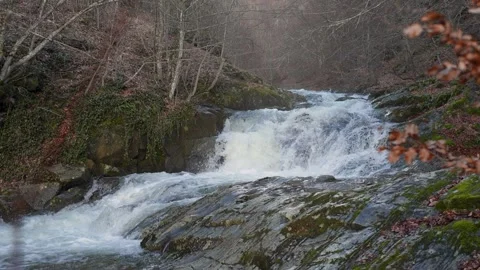 Mountain river 2 Stock Footage 329103481