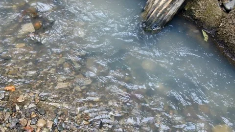 Mountain River 4 Vídeos de archivo 91656656