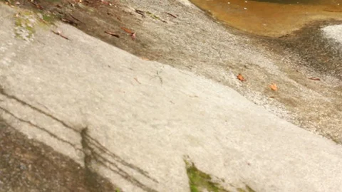 Mountain River 5 HD Stock Footage 127683934