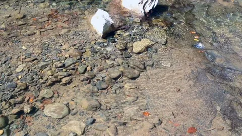 Mountain River 7 Vídeos de archivo 91656729