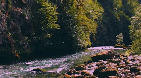 Mountain River. Abkhazia Stock Footage 68018411
