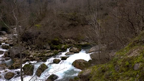 Mountain river in Abkhazia in winter. Close up Stock Footage 109828822