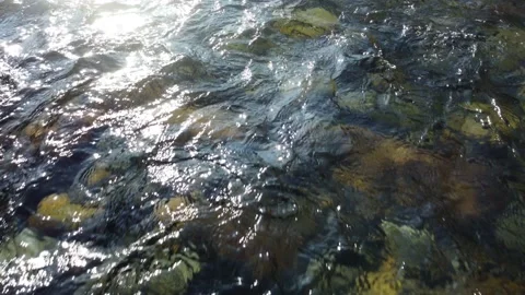 Mountain River Aerial Drone Flight Vidéo 237162876