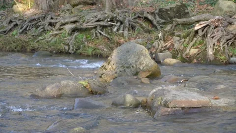 Mountain river Afips.  Fast river. Village of Plancheskaya Shchel. Stock Footage 166506180