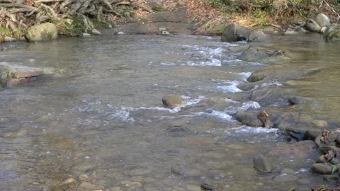 Mountain river Afips seethes among stones in village of Plancheskaya Shchel. Video stock 167324389