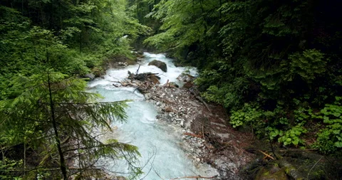Mountain river after rain with fallen woods in Southern Bavaria, Germany Stock Footage 136448516