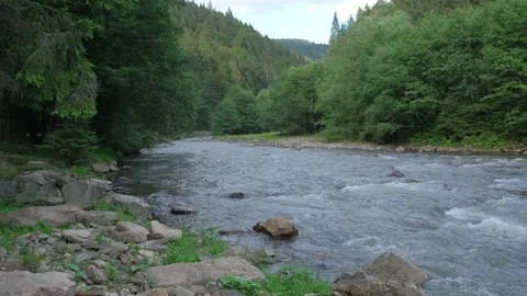 Mountain river against the background of a coniferous forest. Stock Footage 137090550