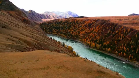 Mountain river in Altai Stock Footage 236274940