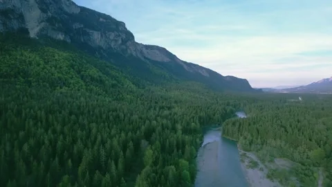 Mountain river among coniferous forest in the Alps Stock Footage 240859643