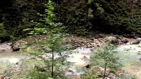 Mountain river among rocks and trees. Stock Footage 163656940