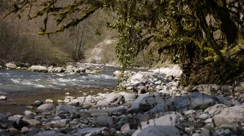 Mountain River among Trees and Stones in Gorge 4 Stock Footage 48626765