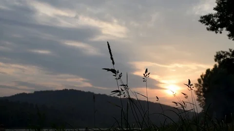 Mountain, river and field grass grass in the warm summer evening Stock Footage 92235478