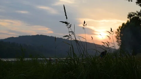 Mountain, river and field grass grass in the warm summer evening Stock Footage 92562772