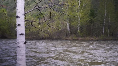 Mountain river and forest Vídeos de archivo 104410262