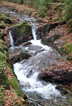 Mountain river and forest Stock Photos
