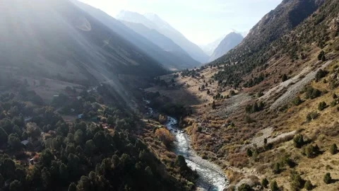 Mountain river and forest in summer Kyrgyzstan Video stock 219410161