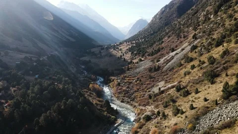 Mountain river and forest in summer Kyrgyzstan 스톡 동영상 219410191